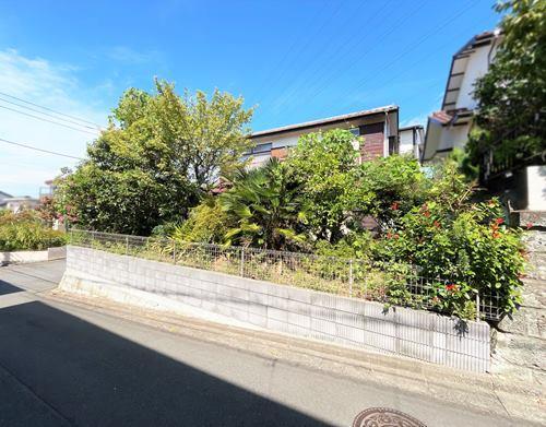 【現地写真2025年9月撮影】