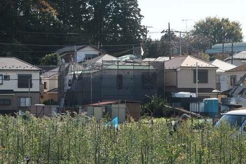 【現地写真2025年11月撮影】