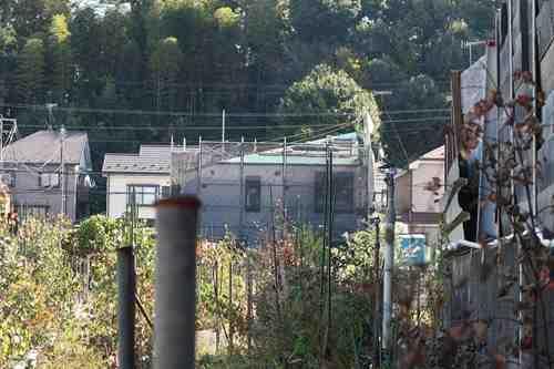 【現地写真2025年11月撮影】