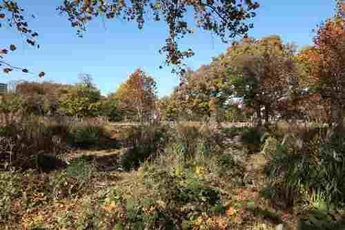 朝霞の森まで1370m