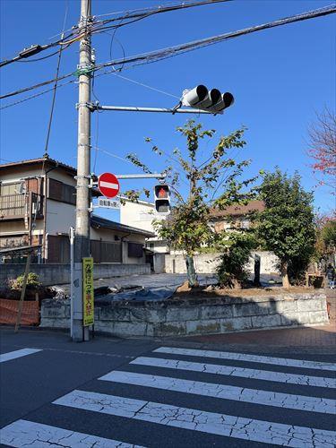 現地(2025年11月撮影)