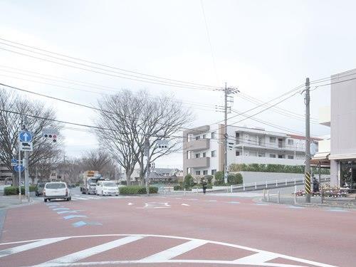 前面道路（撮影 2026.03）