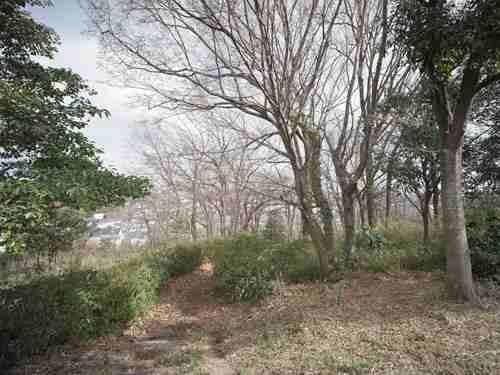 万福寺さとやま公園 70m