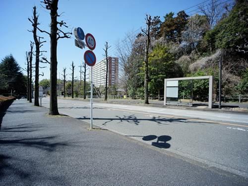 前面道路（撮影 2026.03）