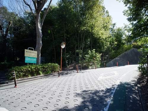 島田生長の森緑地 410m