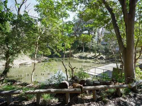 むじなが池公園 580m