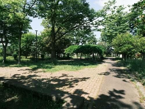 王禅寺公園 800m