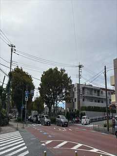 現地前面道路(撮影2026.10)