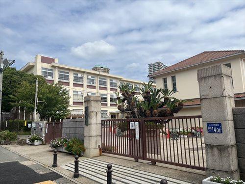 神戸市立住吉小学校579ｍ