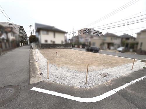 2026年3月29日撮影