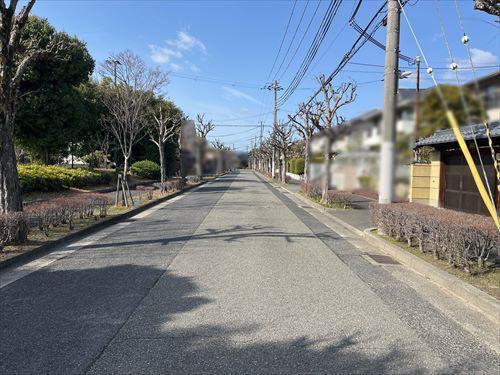 現地写真（2026年8月撮影）