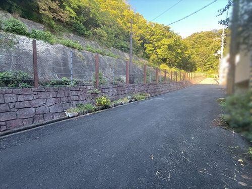 現地写真（2026年10月撮影）