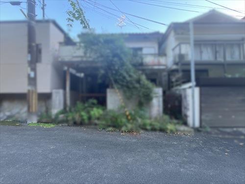 現地写真（2026年10月撮影）