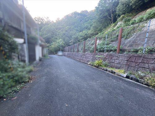 現地写真（2026年10月撮影）