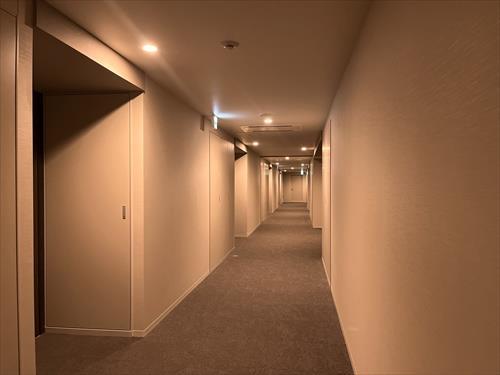 共用廊下(プライバシー性の高い内廊下)