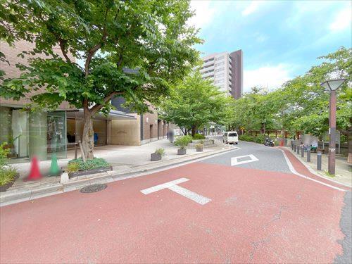 現地含む前面道路(目黒川側)