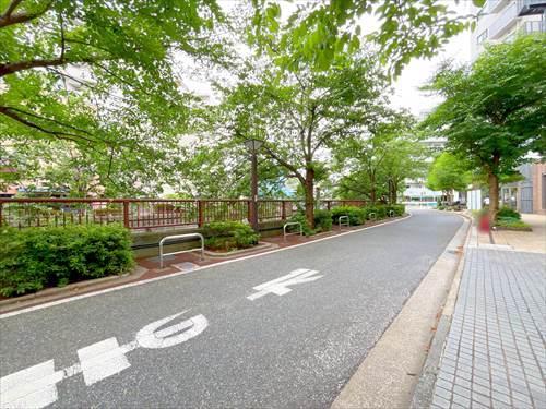 前面道路(目黒川側)