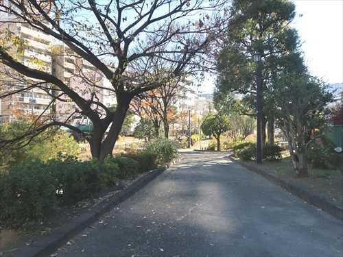 大横川親水公園まで630m