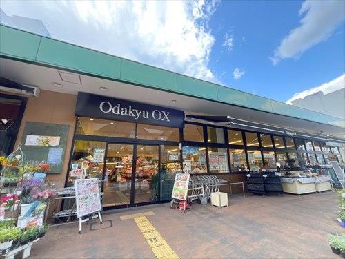 OdakyuOX小田原店まで250m