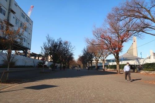 東京都立代々木公園まで400m