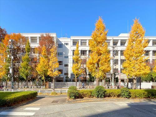 私立東京女学館小学校まで600m