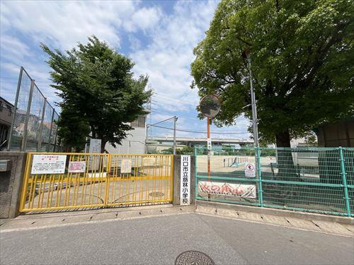 川口市立慈林小学校まで690m