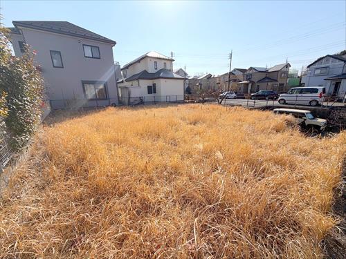 現地(2026年2月撮影)