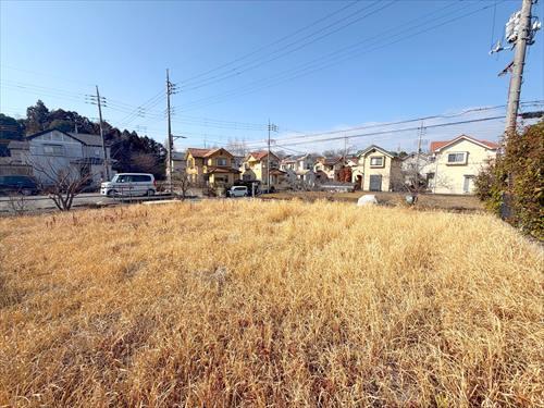 現地(2026年2月撮影)