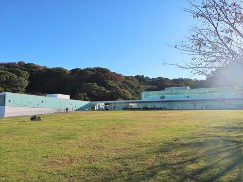 横須賀美術館まで620m