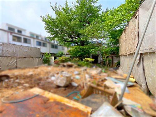 現地(2026年4月撮影)