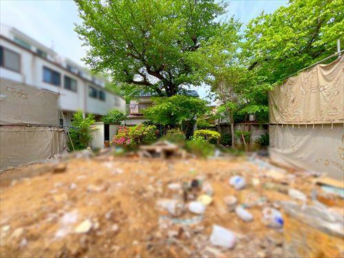 現地(2026年4月撮影)