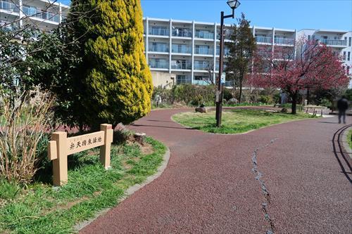 弁天橋東緑地まで380m