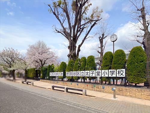 世田谷区立太子堂小学校まで630m