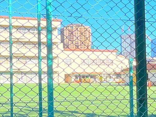港区立本村幼稚園まで450m