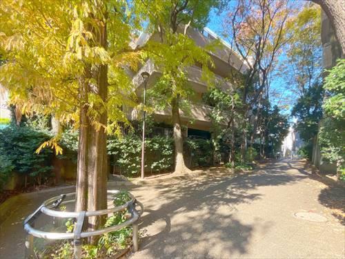 薬園坂緑地まで320m
