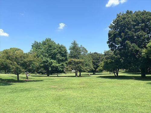 都立殿ヶ谷戸庭園まで360m