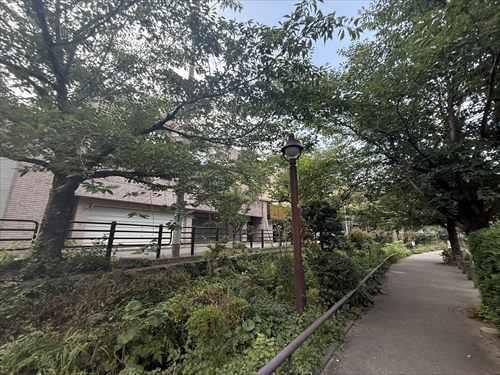 緑道から見た外観5(2026年7月撮影)