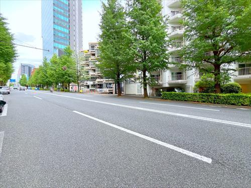 前面道路(2026年9月撮影)
