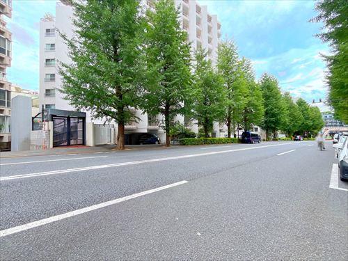 前面道路(2026年9月撮影)