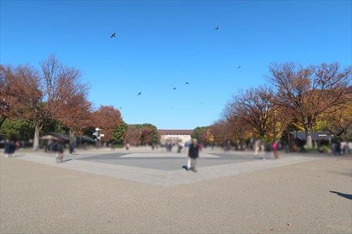 東京都上野恩賜公園まで970m