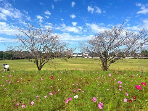 牧の原公園まで100m