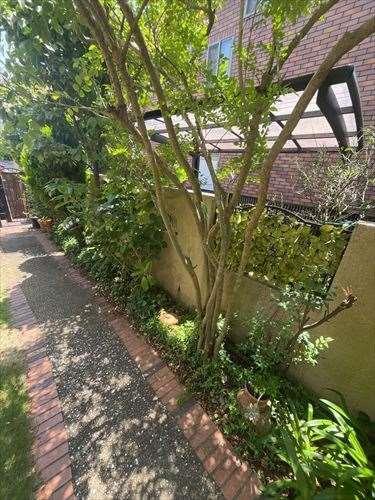 建物2路地状敷地