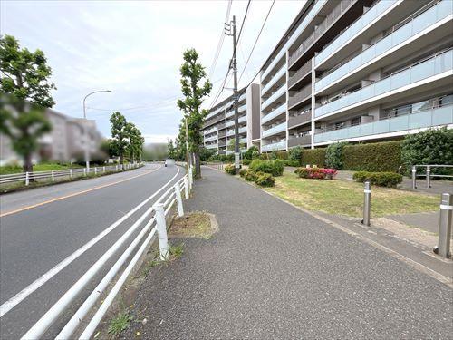 前面道路（2025年5月撮影）