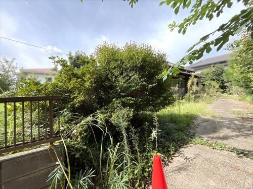 現地（2025年9月撮影）