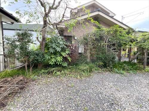 現地(2025年10月撮影) 現地(2025年10月撮影)