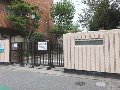 市川市立市川小学校 750m