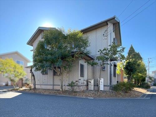 現地（2026年1月撮影）