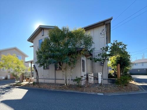 現地（2026年1月撮影）