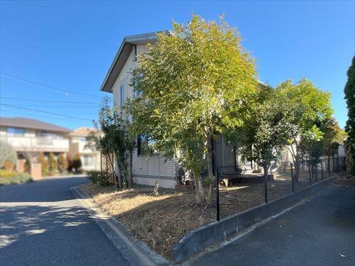 現地（2026年1月撮影）