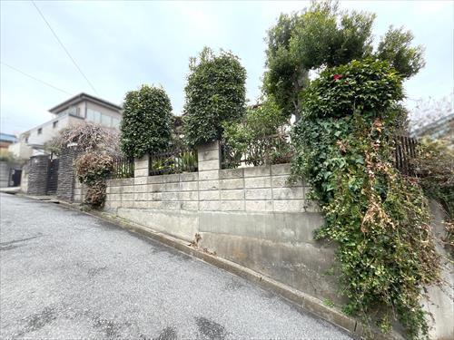 現地写真⑥2026年3月撮影